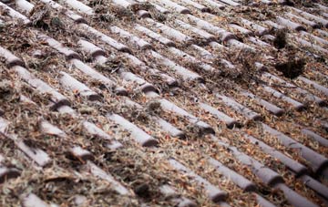 Hooke roof cleaning companies