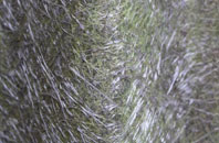 Hooke fibreglass roof work